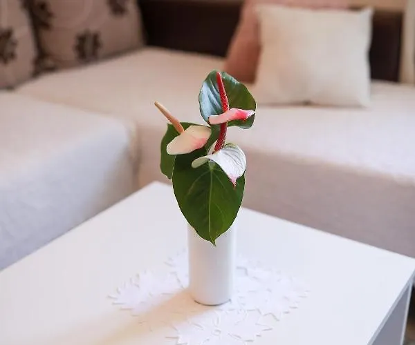 Апартаменты Rita Задар