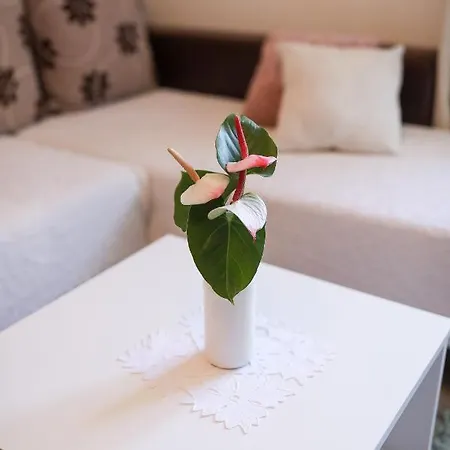 Apartment Rita Zadar